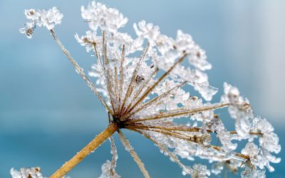 La réaction naturelle face à une crise : Le gel des investissements